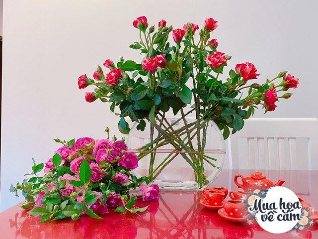 Chi tiền triệu mua hoa về cắm, mẹ Hà Nội bị trêu: “Tiền hoa tốn hơn tiền ăn” - 21 - kythuatcanhtac.com