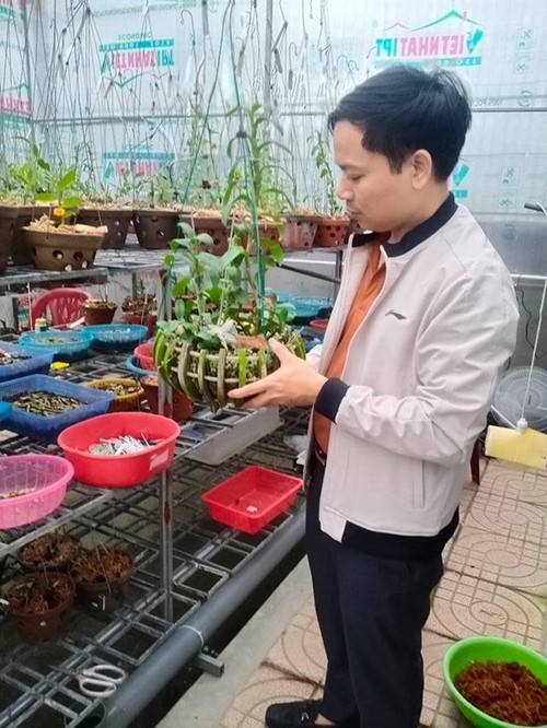 Ông chủ vườn lan 7X Mạnh Hùng và niềm đam mê hoa lan - 3 - kythuatcanhtac.com