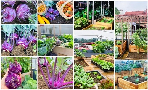 Mẹ Tây Bắc hé lộ cách làm sân thượng trồng cả trăm loại rau, hiếm khi phải ra chợ mua - 17 - kythuatcanhtac.com