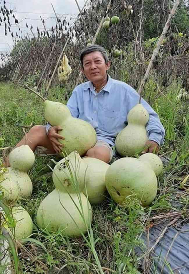 amp;#34;Báu vậtamp;#34; siêu khổng lồ, nặng vài chục kg của nông dân Việt Nam - 4 - kythuatcanhtac.com