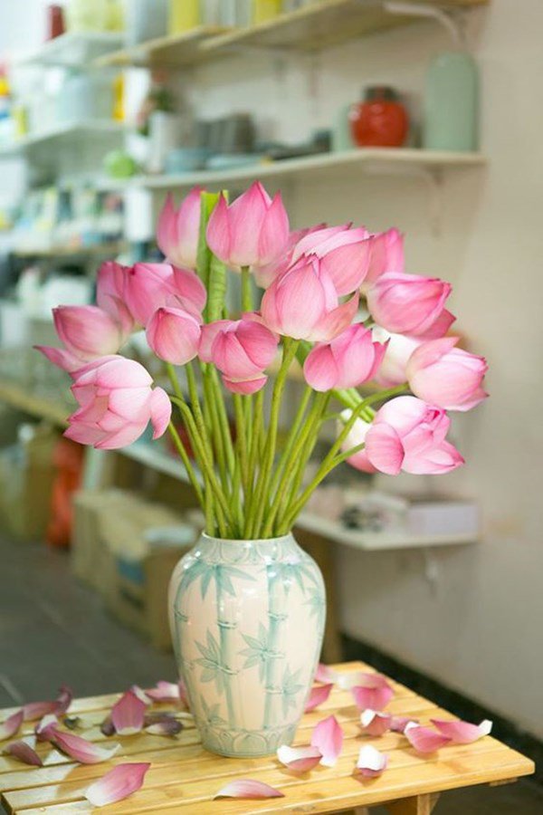 Những loại hoa đánh thức tài lộc, sáng đặt bàn thờ Thần Tài chiều gặp may - 3 - kythuatcanhtac.com