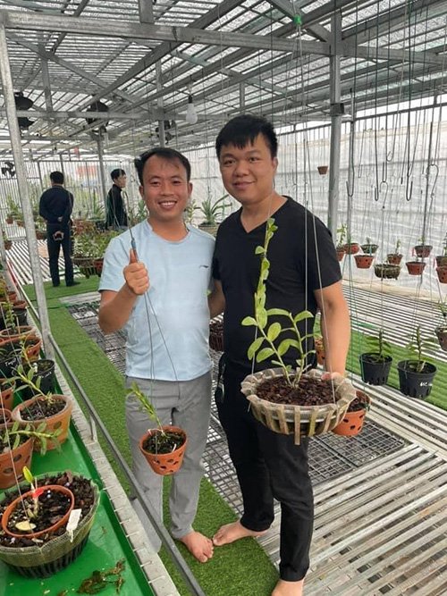 Nghệ nhân Nguyễn Đức Đại chia sẻ cách chăm sóc hoa lan một cách chi tiết - 2 - kythuatcanhtac.com