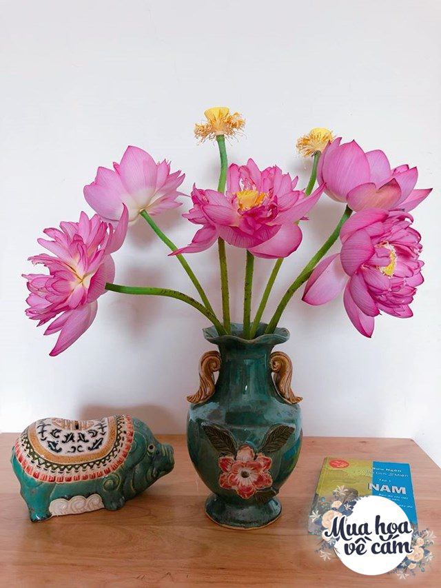 Muôn kiểu cắm hoa sen đẹp hút hồn của chị em Việt, nhìn là muốn amp;#34;rướcamp;#34; ngay 1 bình - 9 - kythuatcanhtac.com