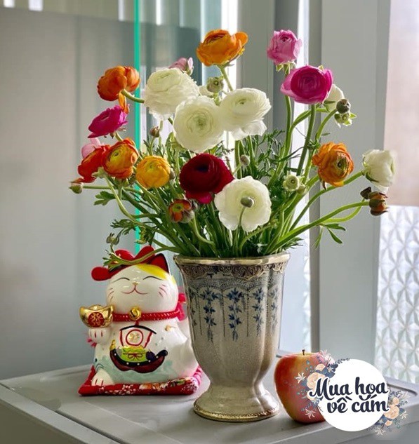 Mẹ Hà Nội nhỏ vài giọt “nước thần” vào bình hoa, chơi cả tuần không hỏng, đẹp mê li - 14 - kythuatcanhtac.com