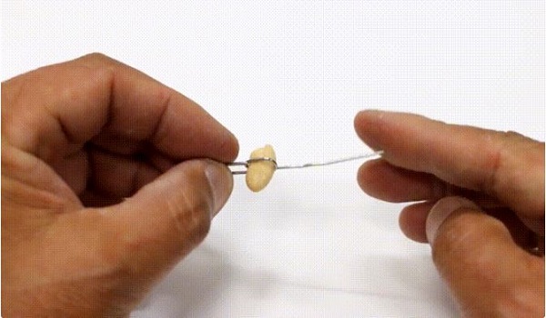 Cách làm bẫy chuột thông minh bằng chai nhựa, thùng sơn đơn giản - 4 - kythuatcanhtac.com