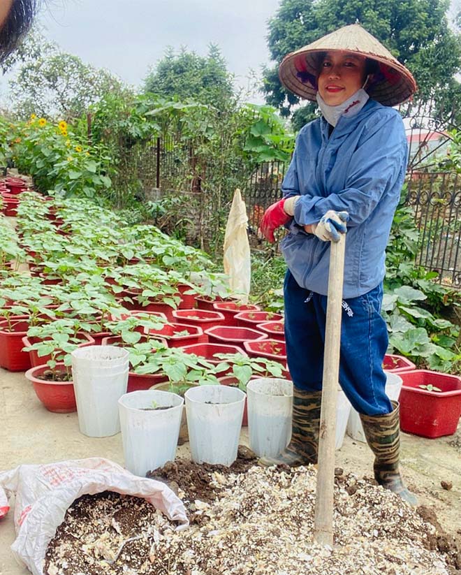 Làm vườn 300m2, bà chủ quán cà phê hoá nông dân khuân 100 bao đất trên sân thượng - 5 - kythuatcanhtac.com