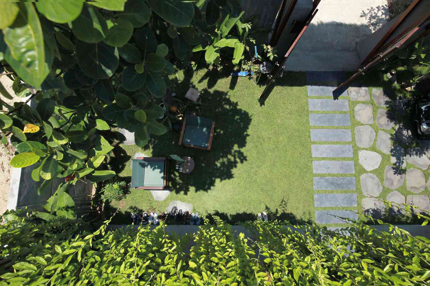 Giữa mùa dịch, gia chủ làm vườn, trồng rau trên mái nhà - 21 - kythuatcanhtac.com
