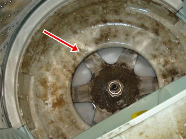 Cách vệ sinh máy giặt chỉ với vài bước cực đơn giản, không cần tháo lồng vẫn sạch bóng - kythuatcanhtac.com