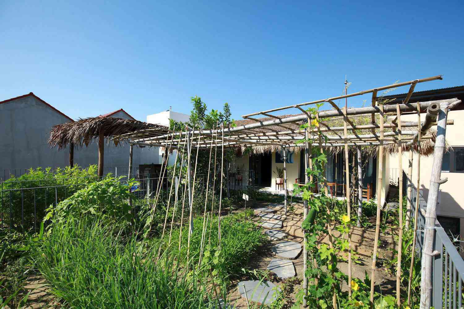Giữa mùa dịch, gia chủ làm vườn, trồng rau trên mái nhà - 16 - kythuatcanhtac.com