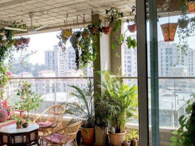 3 nguyên tắc vàng khi trồng cây phong thủy ở ban công chung cư để hút tài lộc vào nhà - kythuatcanhtac.com