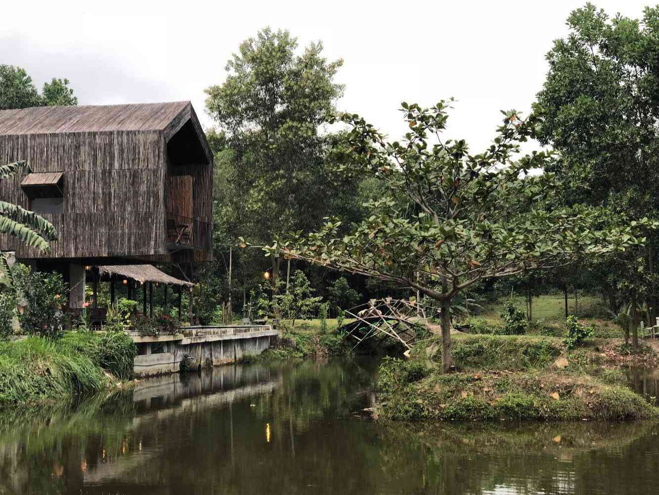 Không có điều hòa, nhà bên hồ ở Đà Nẵng vẫn mát mẻ nhờ lớp vỏ bằng tre - 11 - kythuatcanhtac.com